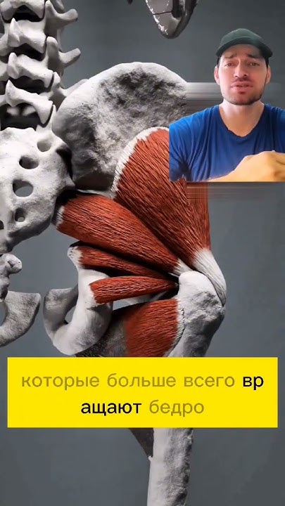 ТАК ВОТ ИЗ-ЗА ЧЕГО БОЛИТ ПОЯСНИЦА! - YouTube