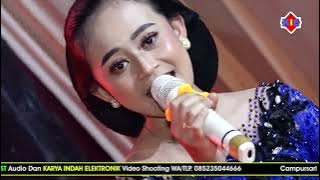 Tayub Bpk. PAIMIN Buluroto Vol. 3 //  PUTRA DEWA // THE BEST AUDIO // KIE MULTIMEDIA