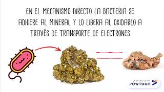 Biolixiviación en 1 minuto