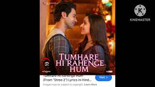 Tumhare he rahenge hum (remix song) DJ song #new song|Shraddha Kapoor Rajkumar Rao