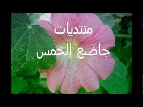 ورد ما احلى جمالك بين الورود