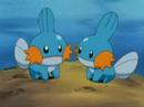 My Mudkip