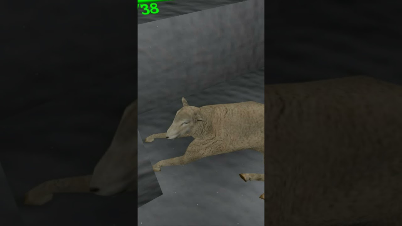 Овечка говорит 