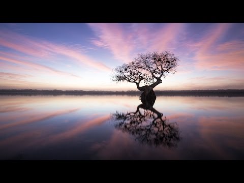 Stunning Photos of the Endangered Everglades | Mac Stone | TED Talks