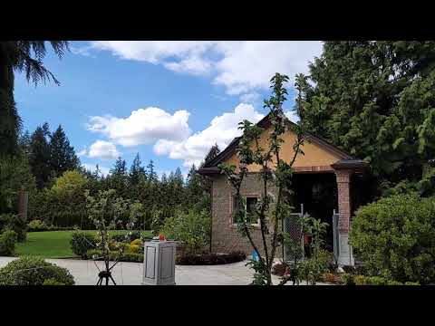 Video: Columnar Apple Trees