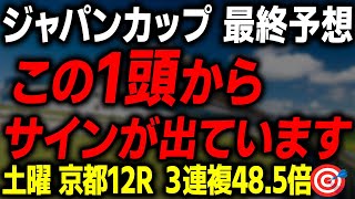 【ジャパンカップ 2025 最終予想】ジャパンCの絶対に買いたい本命馬と買い目を徹底解説します