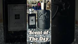 Scent Of The Day