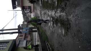 Dairo De Borrachoactuación