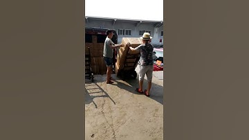 handling sewing thread 2