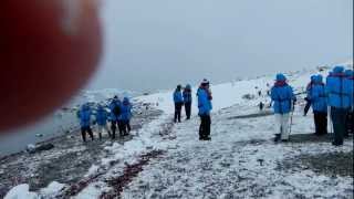 Pretending To Be A Penguin On Antarctica February 18, 2013