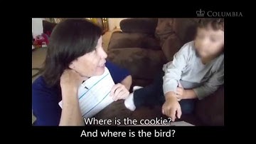 DDPE Module 5: Receptive Language Comprehension and Following Directions