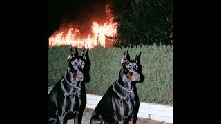don toliver x mike dean x travis scott type beat - fire alarm