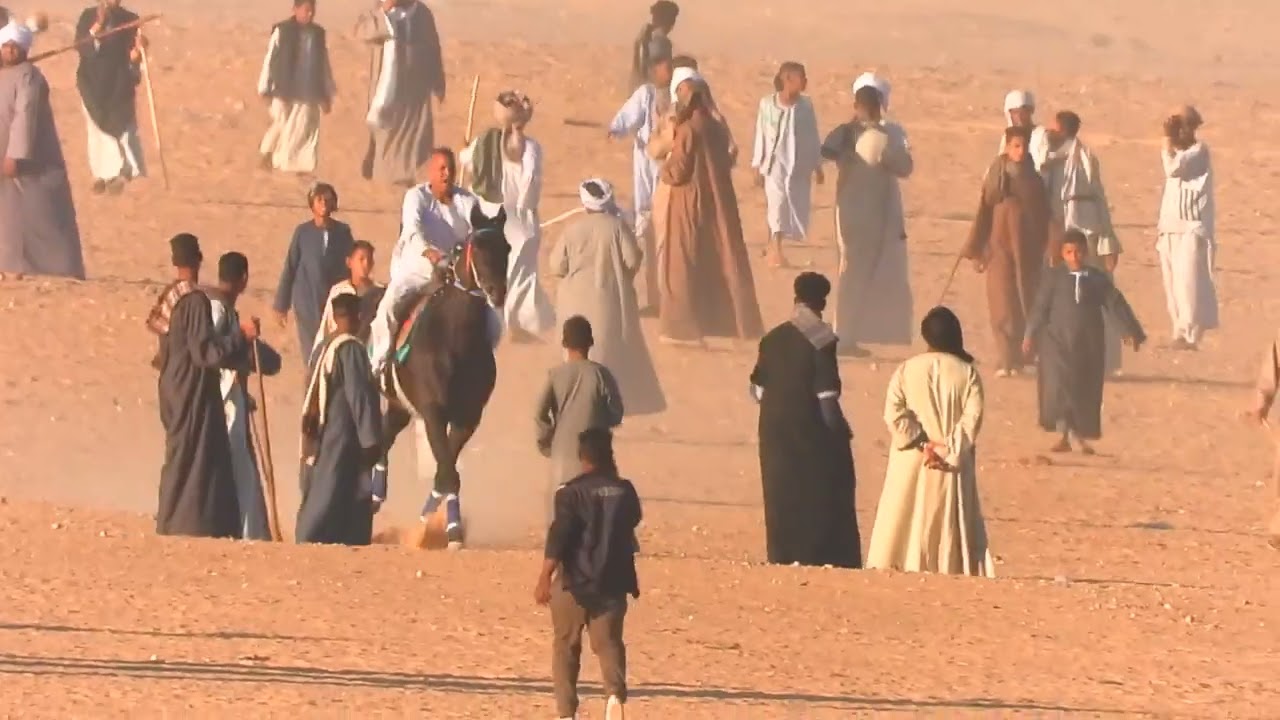 انجليزي مدني فرادي بنبان ٢٠٢٤