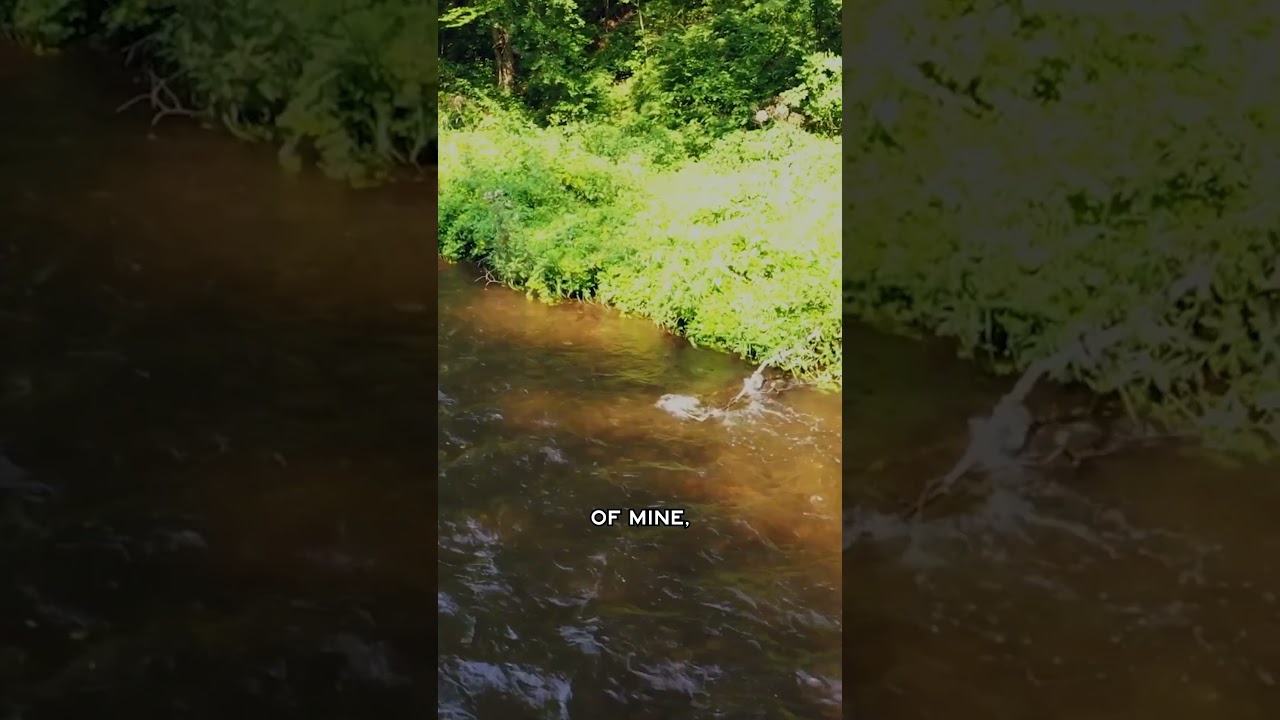 His absolute favorite for fishing