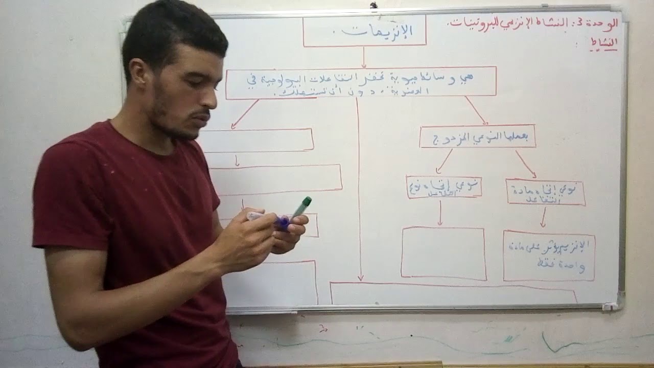ملخص لاهم المعلومات في النشاط الانزيمي للبروتينات.