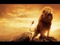 The King of the Jungle - The Lion - Wild World - 001