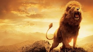 The King of the Jungle - The Lion - Wild World - 001