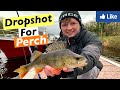 Dropshot for perch  amazing fishing technique made easy