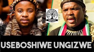 Ukuhlambalaz uSizwe sekwenze uNgizwe waba sobishin...