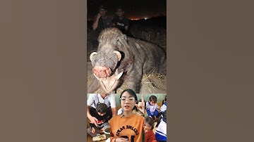 Độc lạ học sinh được ăn heo rừng miễn phí #shorts #thúvị