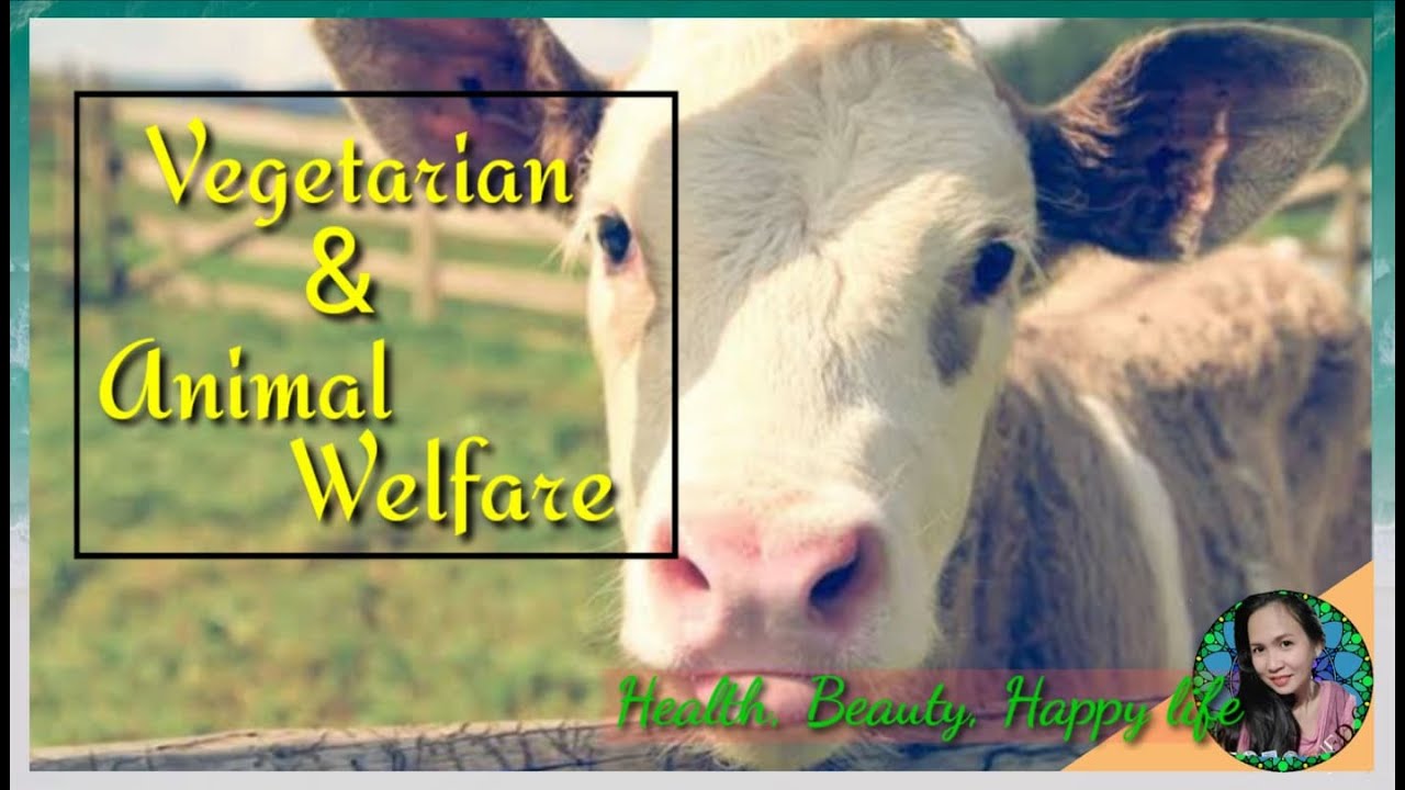 Vegetarianism & Animal Welfare YouTube