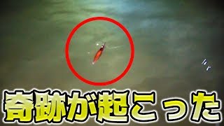 【神秘】沸いたら奇跡のホタルイカの身投げがまさか・・