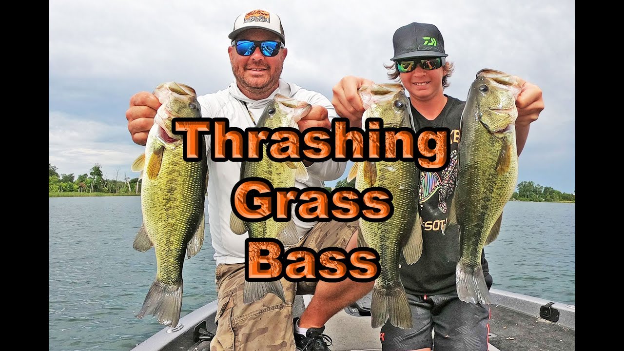 Amazing Grass Bass Deep Weed Edge Fishing YouTube