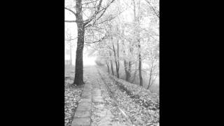 The Morningside - Insomnia
