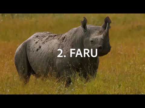 WAJUE WANYAMA WAKUBWA ZAIDI TANZANIA