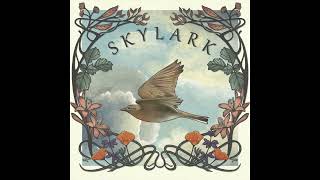 Open Road - Skylark Feat. Lucia Comnes - Debut Single