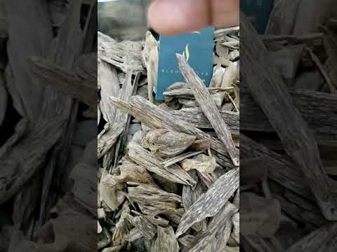 الخيال للطيب أسطورة الطيب الملكي عود كلمنتان مالينو طبيعي