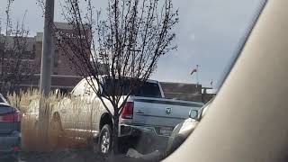 Harbor Freight horns wired to brakes and turn signals PRANK!