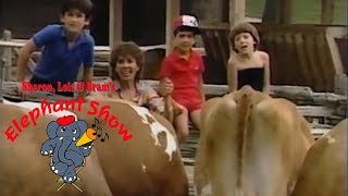 Famous The Elephant Show - Did You Feed My Cow?  (SONG) Profile