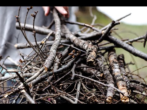 Exodus 35 – “no fire”