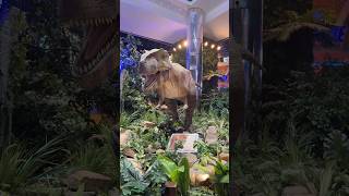 IMG world #imgworld #diyaswin #imgworldsofadventure #dinosaur #adventure #shorts #shortsviral