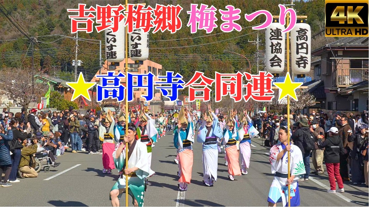 吉野梅郷 梅まつり★東京高円寺阿波おどり合同連★2026 part1
