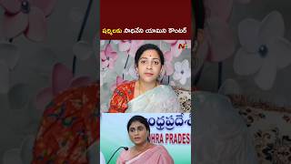 Bjp Y Sadineni Strong Counter To Ys Sharmila L Ntv Telugu