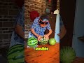 Le Regalaron Una Sandia A Mi Abuelita!