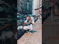 في حكايه يا جن وفي دكن يازميلي انا جيلك ب المكن الجوكر في حكايه يا جن وفي دكن يازميلي انا جيلك ب المكن الجوكر