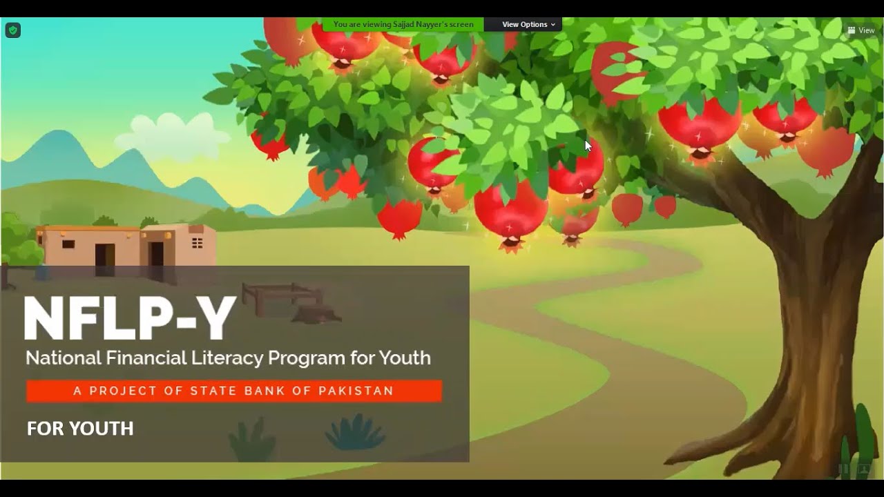 National Financial Literacy Program for Youth