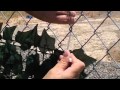 Privacy Fencing Screen