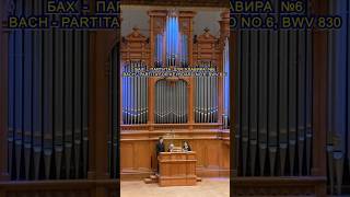 🎼 Бах - Партита №6. Органная музыка #classicalmusic #bach #классика #organmusic