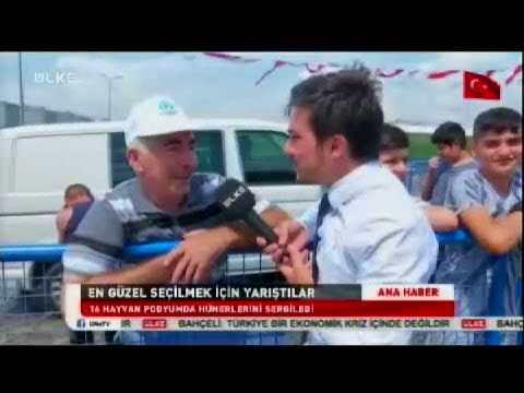 ÜLKE TV ANA HABER - En büyük ve En güzel Kurbanlık yarışmasında  bu yıl birinci “Ağrı Dağı” oldu.