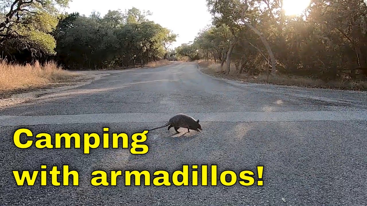Guadalupe River State Park (Texas)