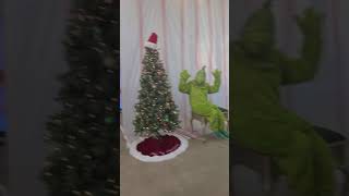 the Grinch break into ACE Hardware