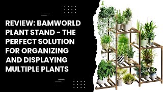 Review: Bamworld Plant Stand - The Perfect Solution for Organizing and Displaying Multiple Plants