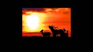 Details FastTracker music: Mulperi - Iiruu Dawn (GUS MAX) Update