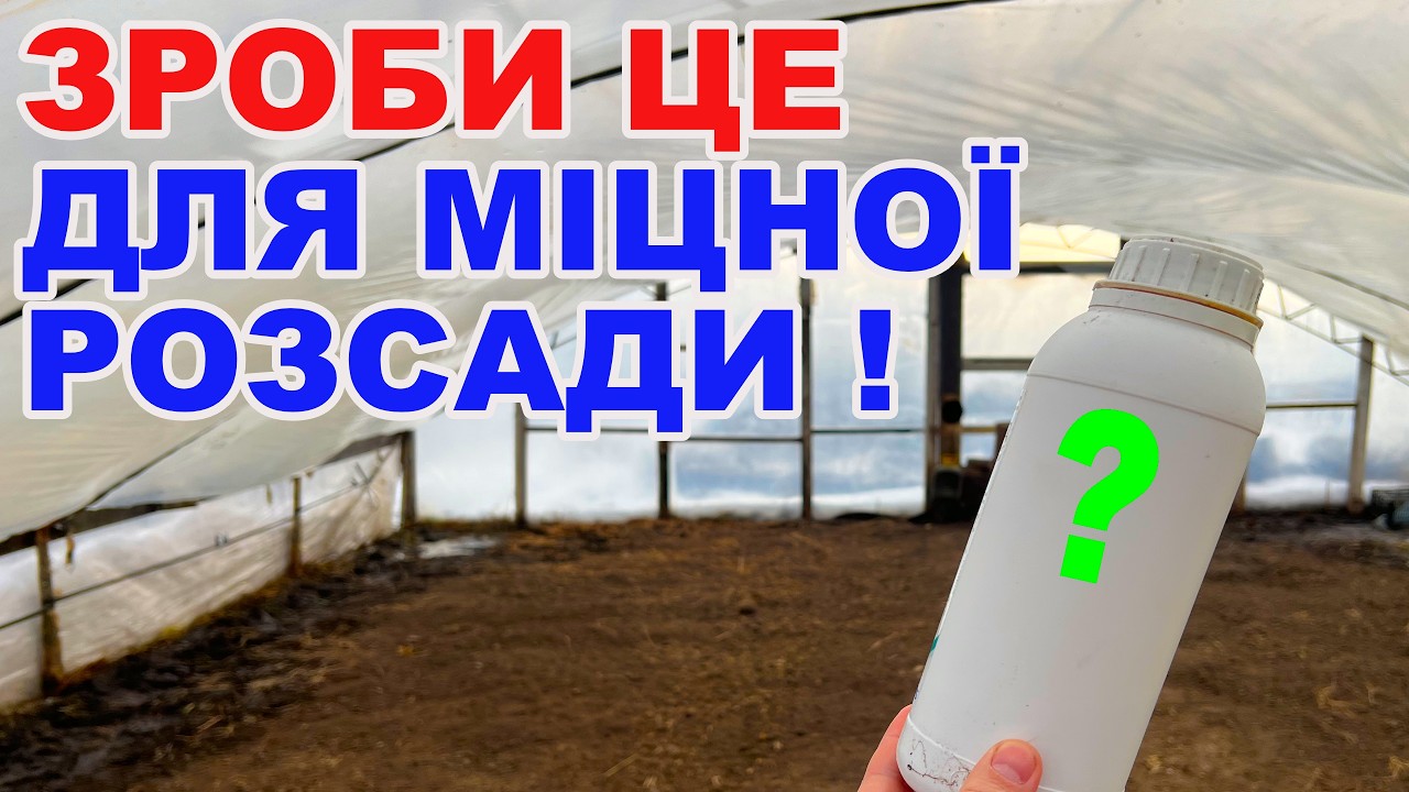 Чим помити плівку ? Дезінфекція теплиці та розсадника