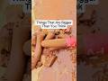 Things That Are Bigger Than You Think XXX TENTICION Ytshorts Viral Usa Uk 