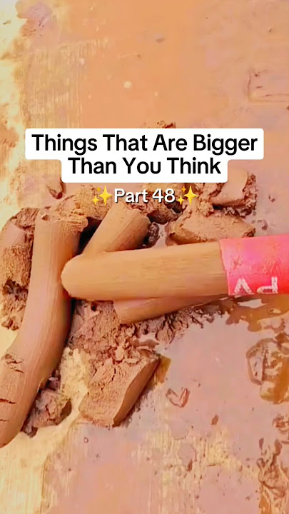 Things That Are Bigger Than you Think 🤯 |XXX TENTICION #ytshorts #viral #usa #uk